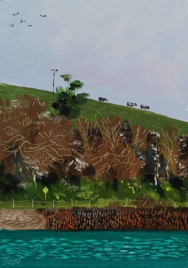 The Cows are Out 12th April 2020 - Sarah Wimperis