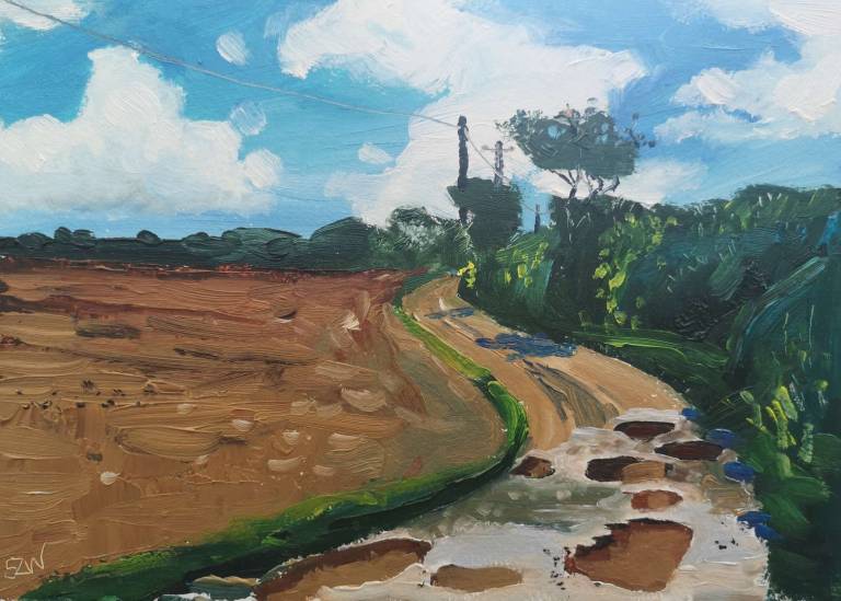Puddles on the Lane 3rd May 2020 - Sarah Wimperis