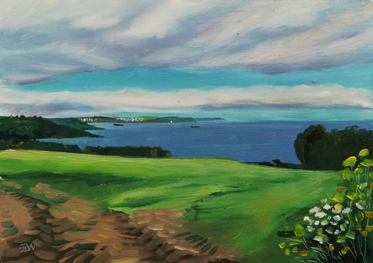 Sunshine on St Mawes 20th May 2020 - Sarah Wimperis