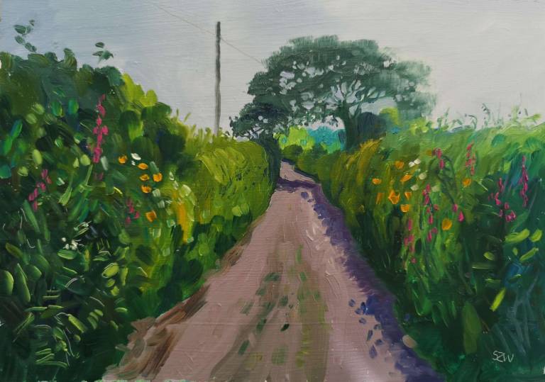 The Lane to Home 23rd May 2020 - Sarah Wimperis