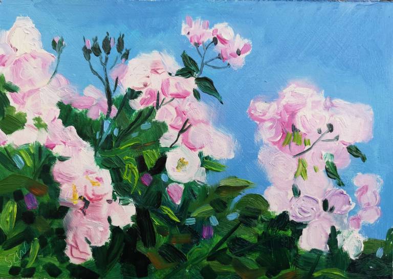 Roses Against a Blue Sky 27th June 2020 - Sarah Wimperis