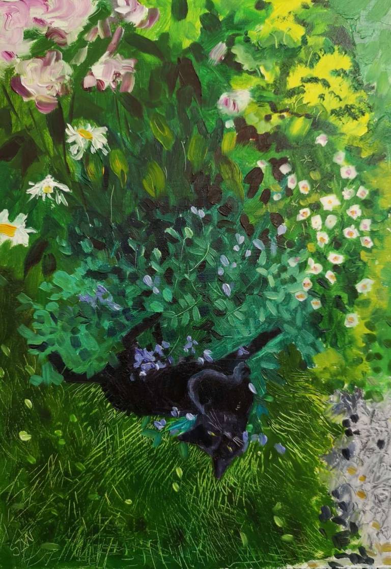 Cat in the Catmint 25th July 2020 - Sarah Wimperis