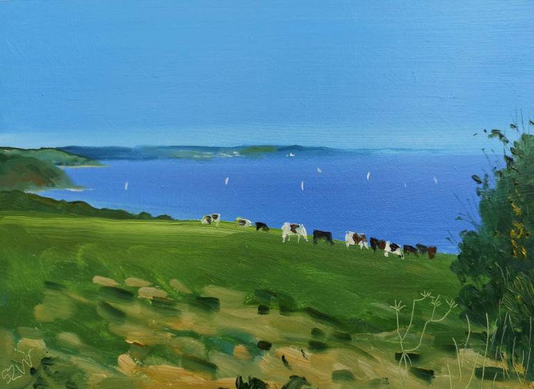 Falmouth Bay with Cows 1st August 2020 - Sarah Wimperis