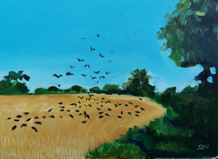 Field of Crows 2nd August 2020 - Sarah Wimperis