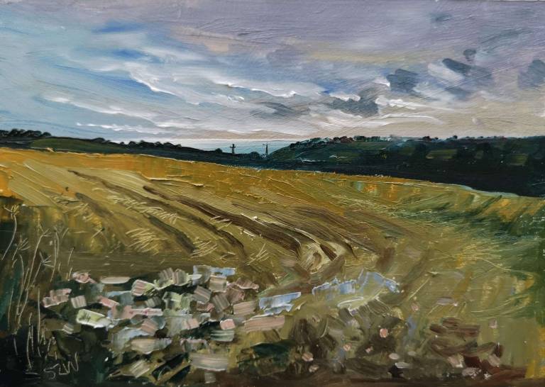 Early Sky 27th August 2020 - Sarah Wimperis