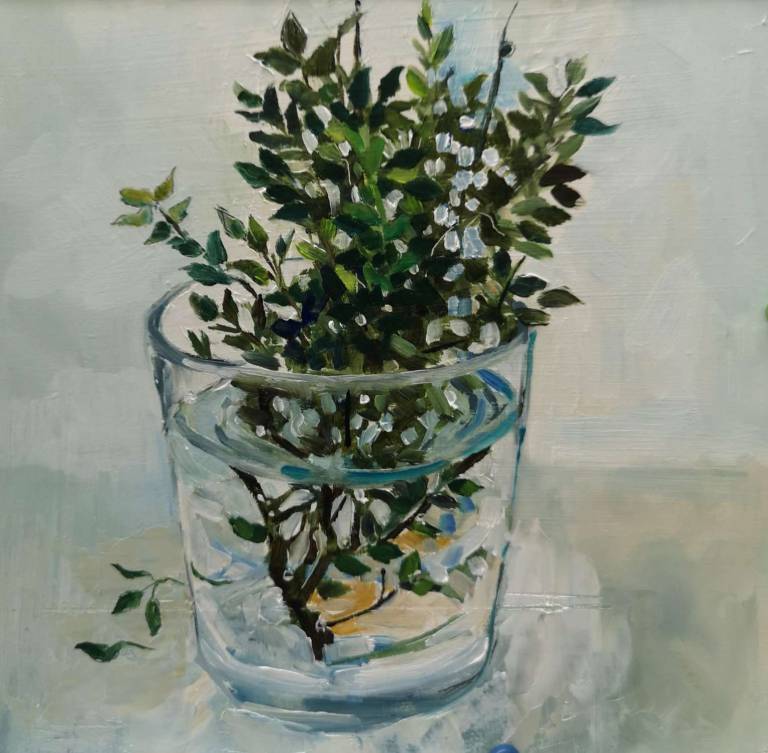 Thyme 29th August 2020 - Sarah Wimperis