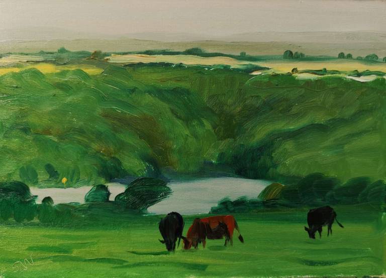 Cows Above the River 1st September 2020 - Sarah Wimperis