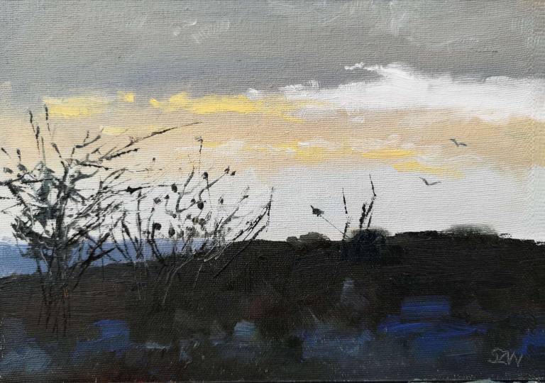 Approaching Storms 1st November 2020 - Sarah Wimperis