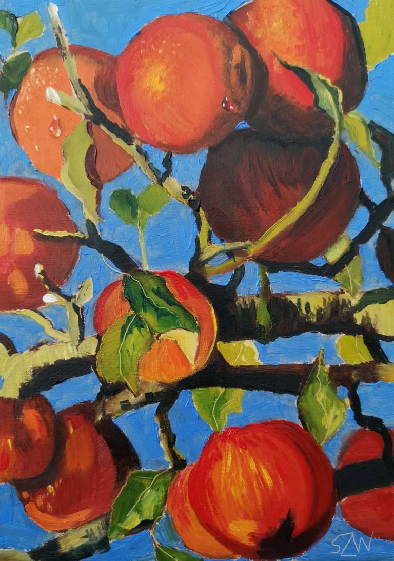Hanging On 3rd November 2020 - Sarah Wimperis