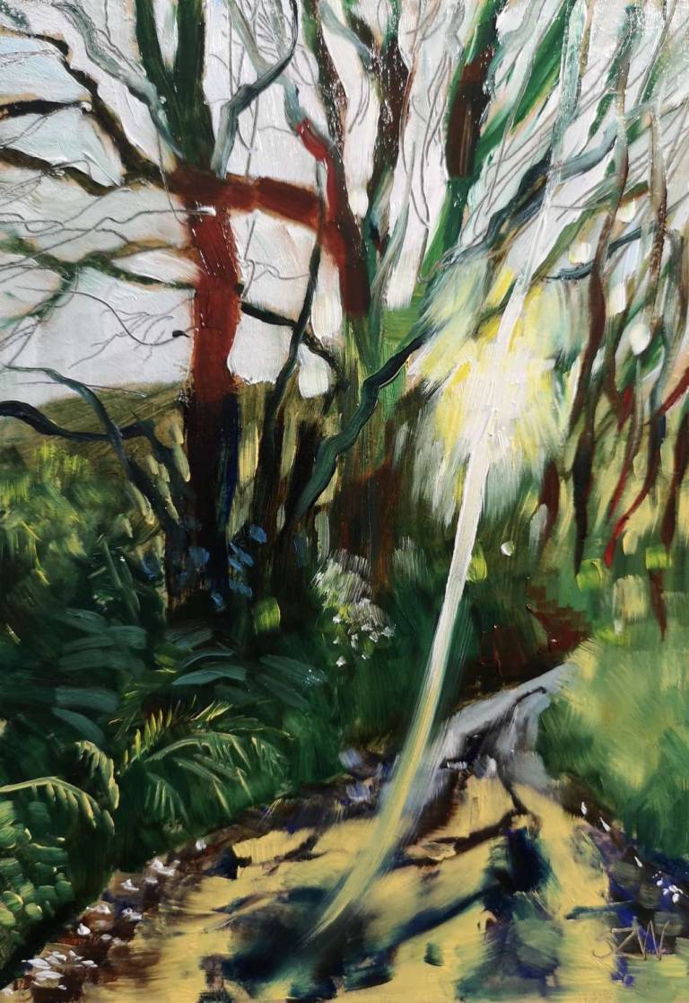 Into the Sun 16th November 2020 - Sarah Wimperis