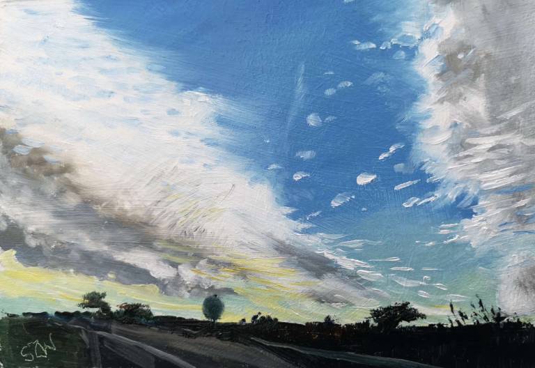 The Road Back 27th November 2020 - Sarah Wimperis