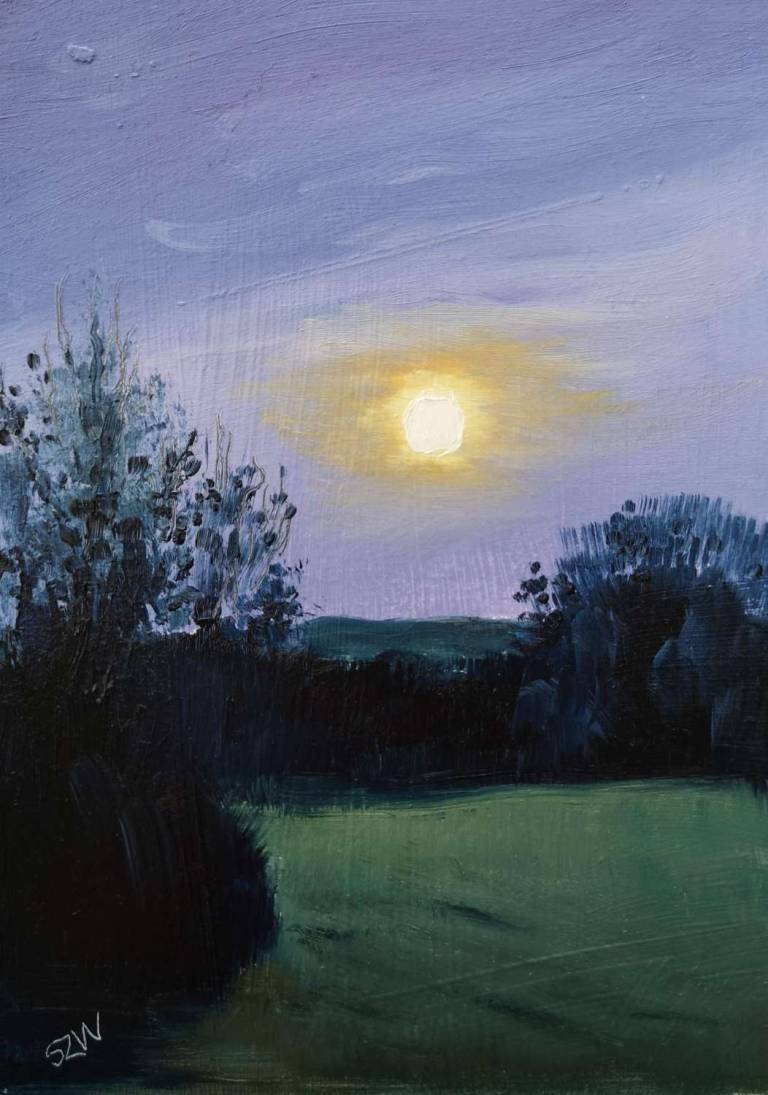 Full Moon Rising 30th November 2020 - Sarah Wimperis