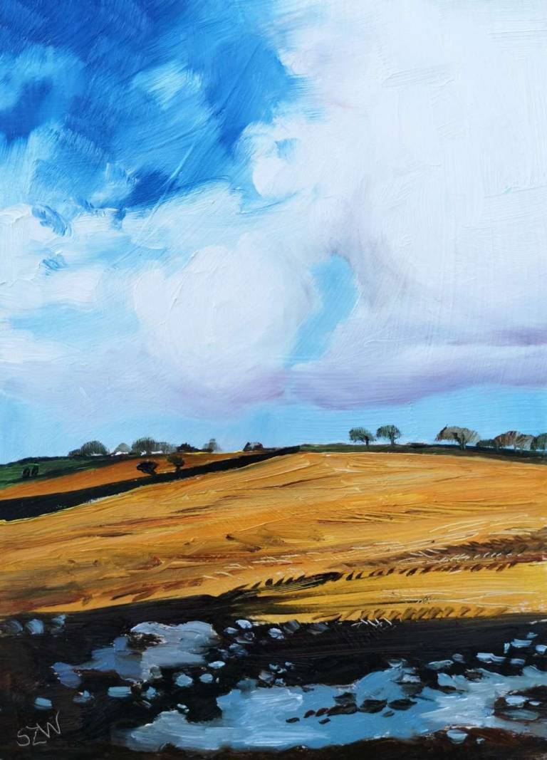 Sunday Morning Walk, 6th December 2020 - Sarah Wimperis