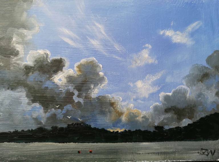 Here Comes the Sun 23rd December 2020 - Sarah Wimperis
