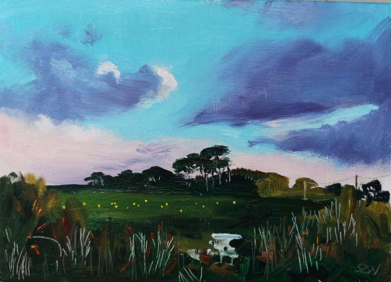 Gold in the Fields 24th December 2020 - Sarah Wimperis