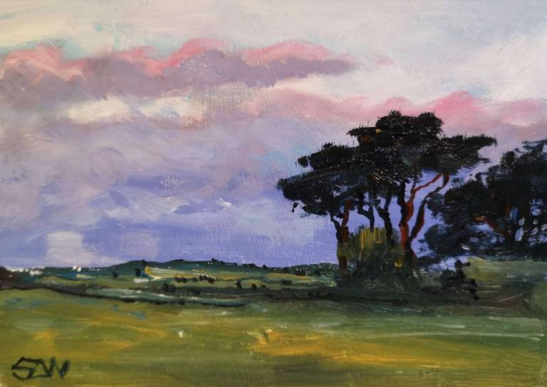 Cornish Landscape 5th January 2021 - Sarah Wimperis