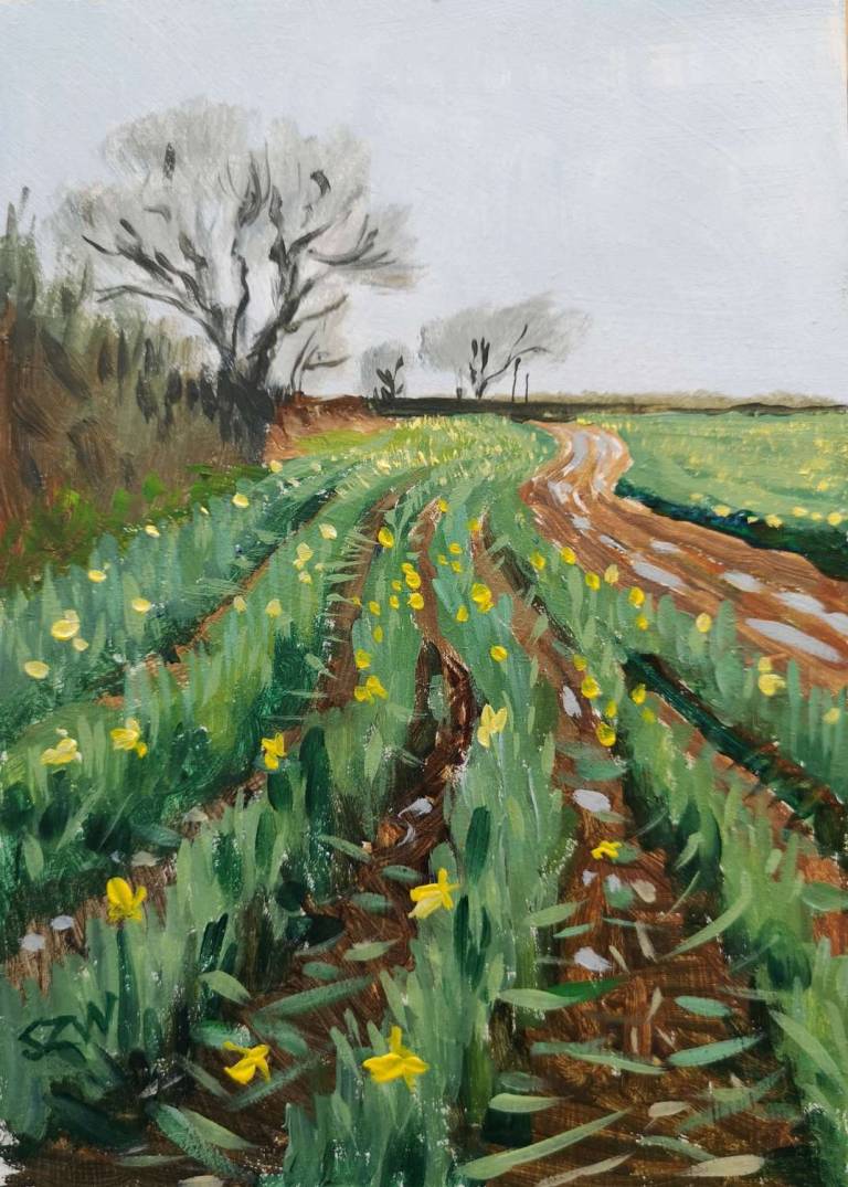 Daffodils 31st January 2021 - Sarah Wimperis