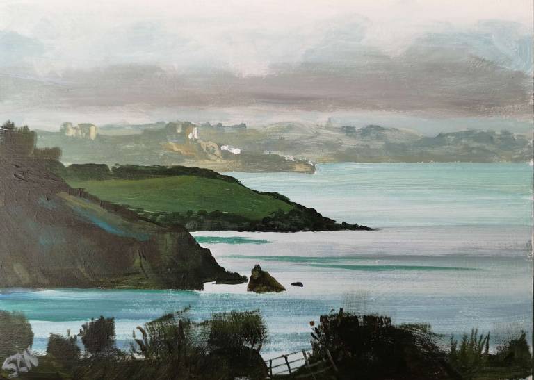 Sunshine on Falmouth 16th March 2021 - Sarah Wimperis