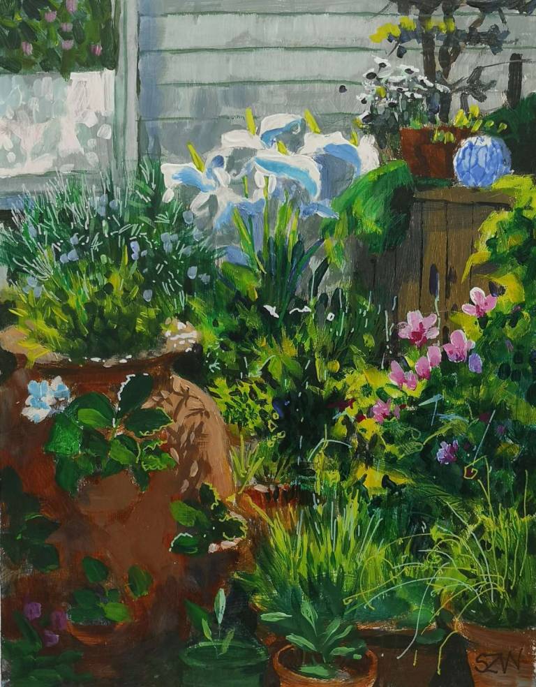 Garden 1st June 2021 - Sarah Wimperis