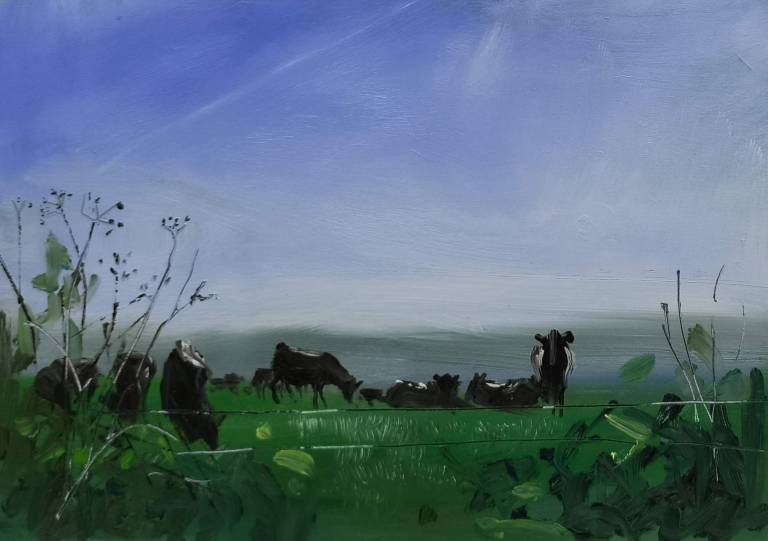 Contrails and Cows 21st March - Sarah Wimperis