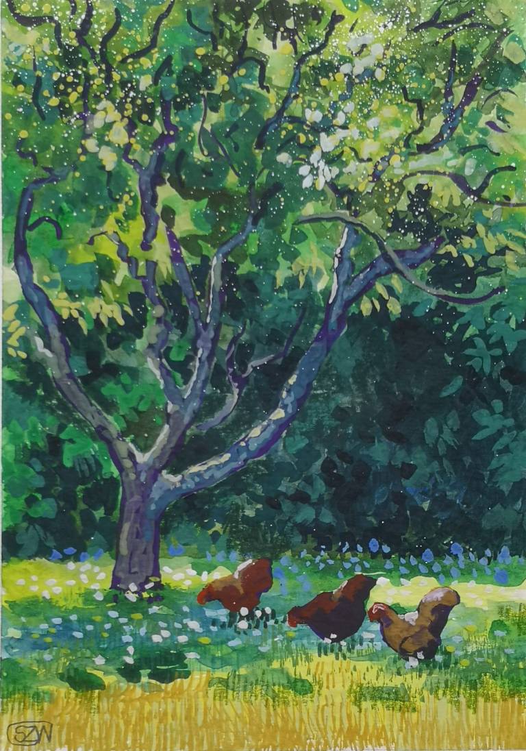 Chickens in the Shade 25th June 2022 - Sarah Wimperis
