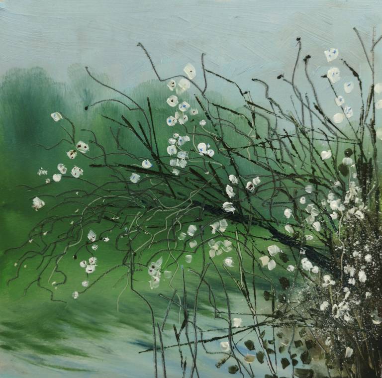 Blackthorn Blossom on Gillan Creek - Sarah Wimperis