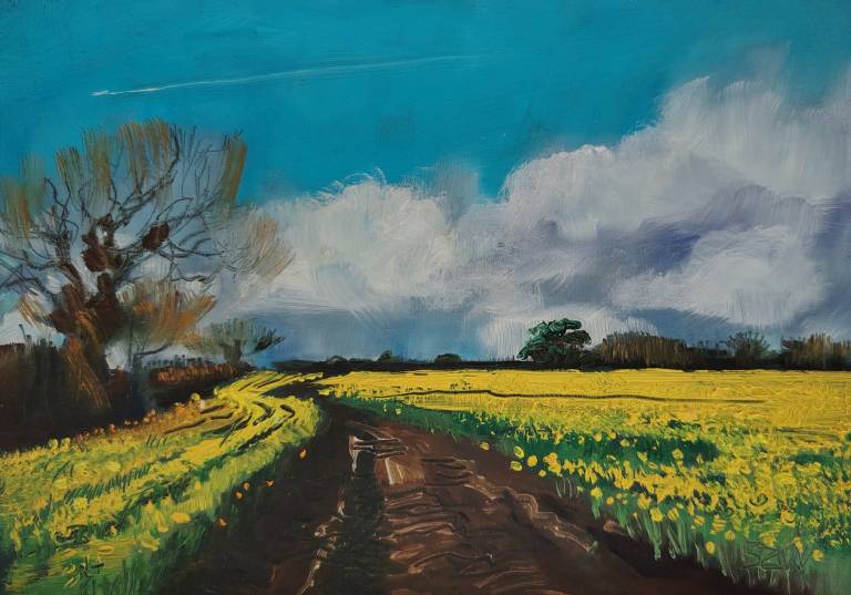 February Fields - Sarah Wimperis