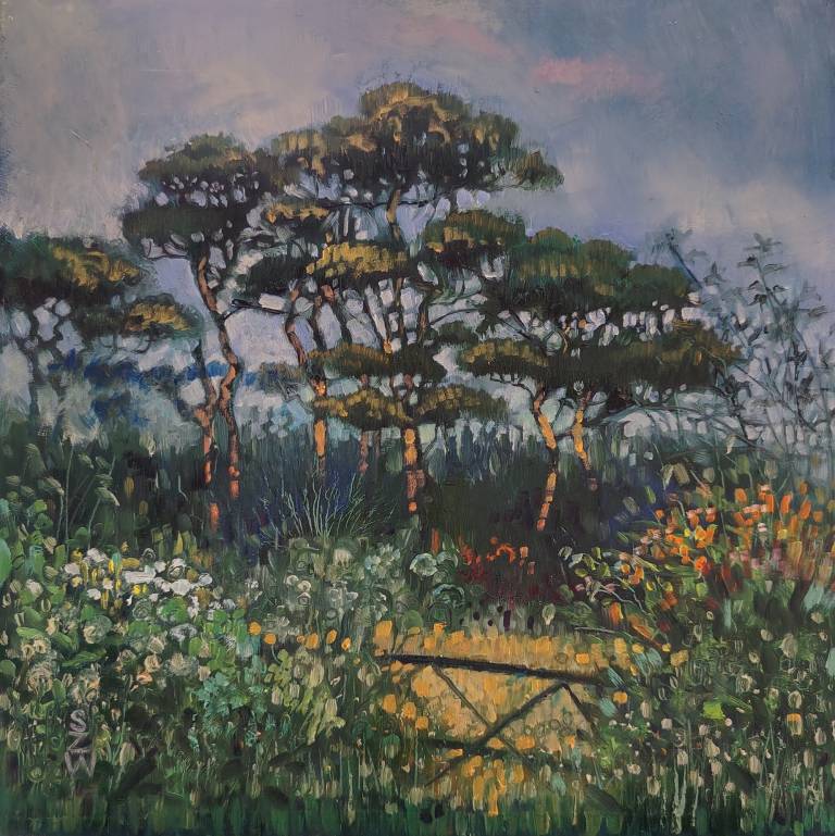 Morning Pines - Sarah Wimperis
