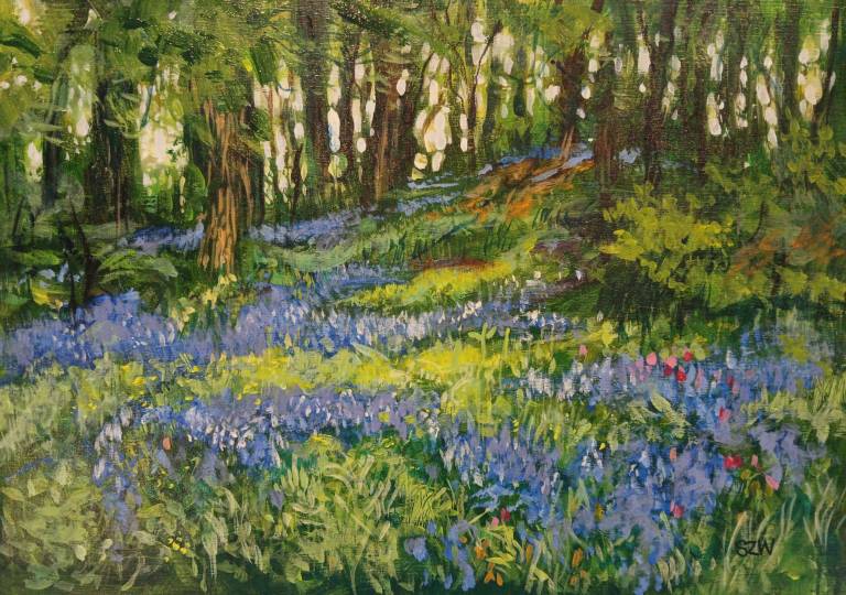 Helford Bluebells - Sarah Wimperis