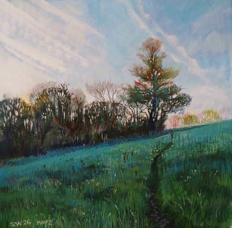 Dawn Chorus - Sarah Wimperis