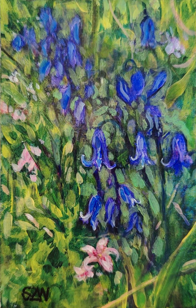 Bluebells - Sarah Wimperis