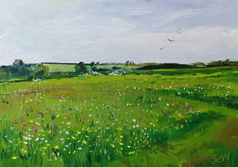 Wild Flower Meadow, Cornwall, Summer - Sarah Wimperis