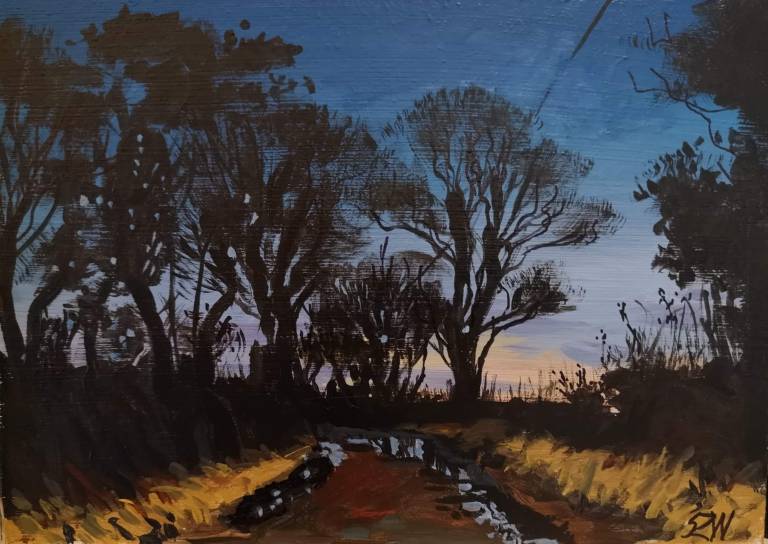 Just Before Dawn. Cornish Winter. - Sarah Wimperis