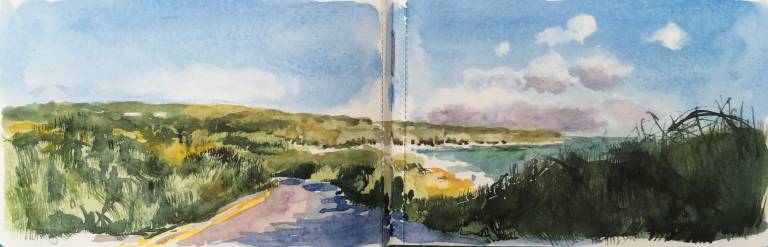 A Cornish Spring sketchbook - Sarah Wimperis