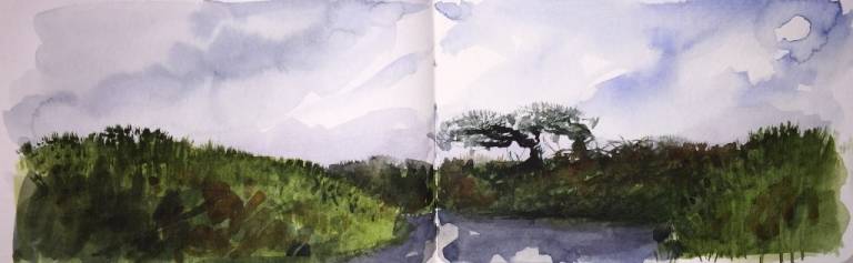 A Cornish Winter sketchbook - Sarah Wimperis