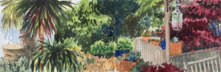 A Garden Sketchbook - Sarah Wimperis