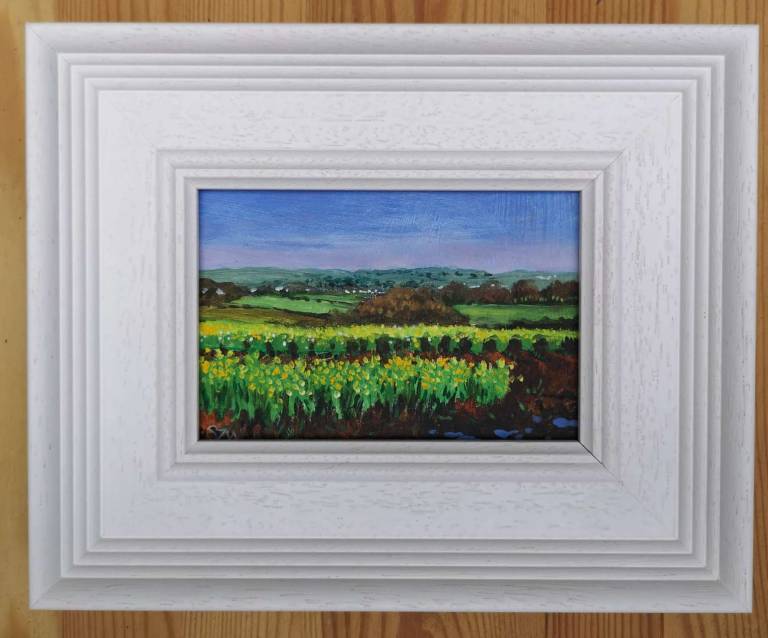 Daffodil Fields (framed) - Sarah Wimperis
