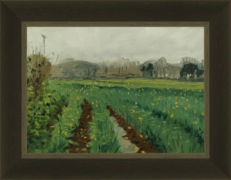 Winter Daffodil Field - Sarah Wimperis