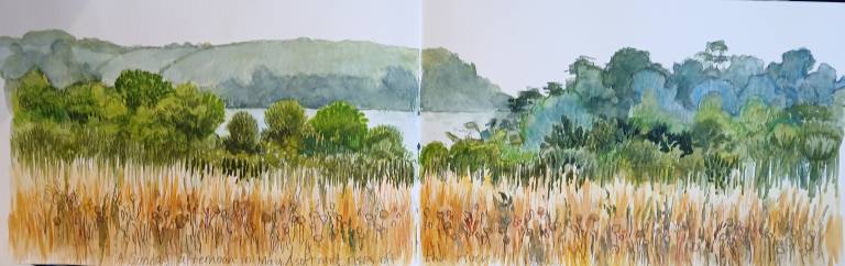 Helford River Seasons Sketchbook - Sarah Wimperis