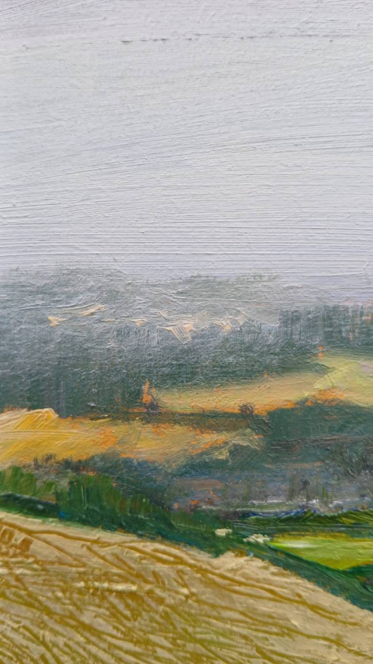 Headland - Sarah Wimperis