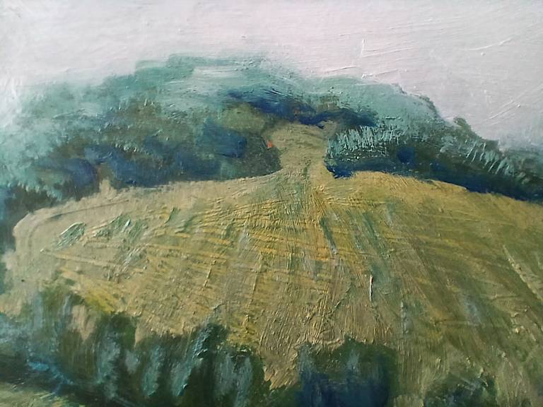 Meadow and Headland - Sarah Wimperis