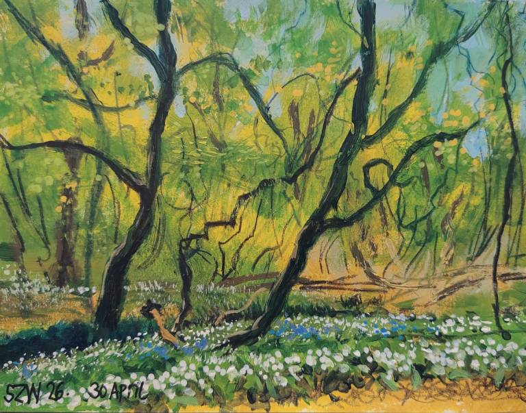 This Year: April - Sarah Wimperis