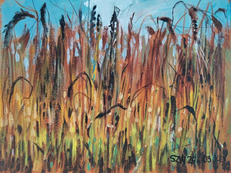 This Year: July - Sarah Wimperis