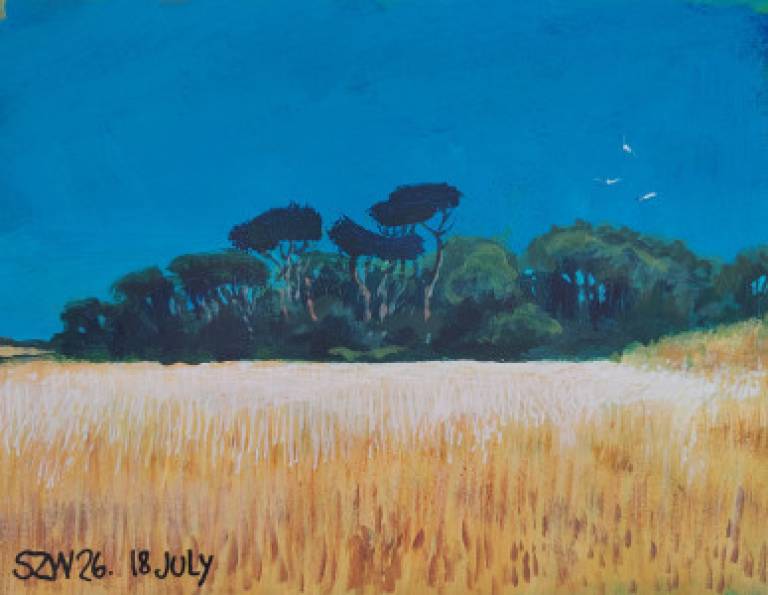 This Year: July - Sarah Wimperis