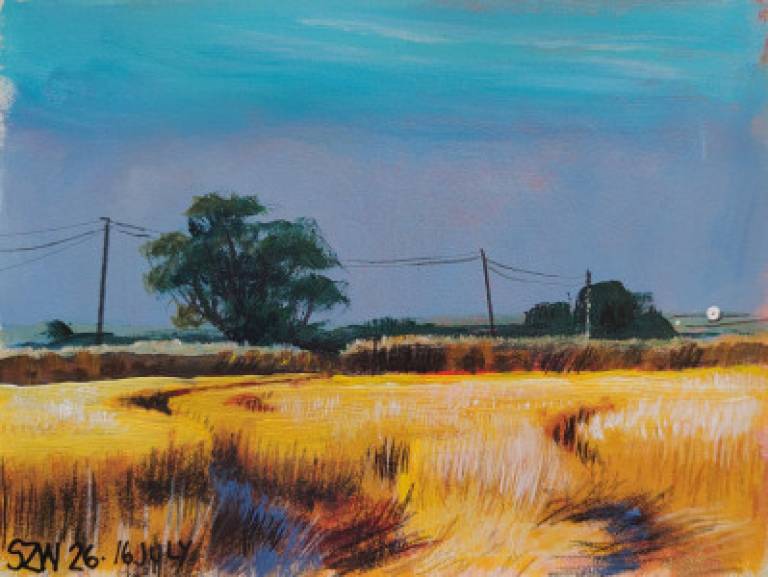 This Year: July - Sarah Wimperis