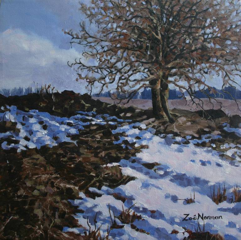 Winter Thaw - Zoe Elizabeth Norman