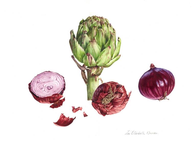 Onions and Globe Artichoke - Zoe Elizabeth Norman