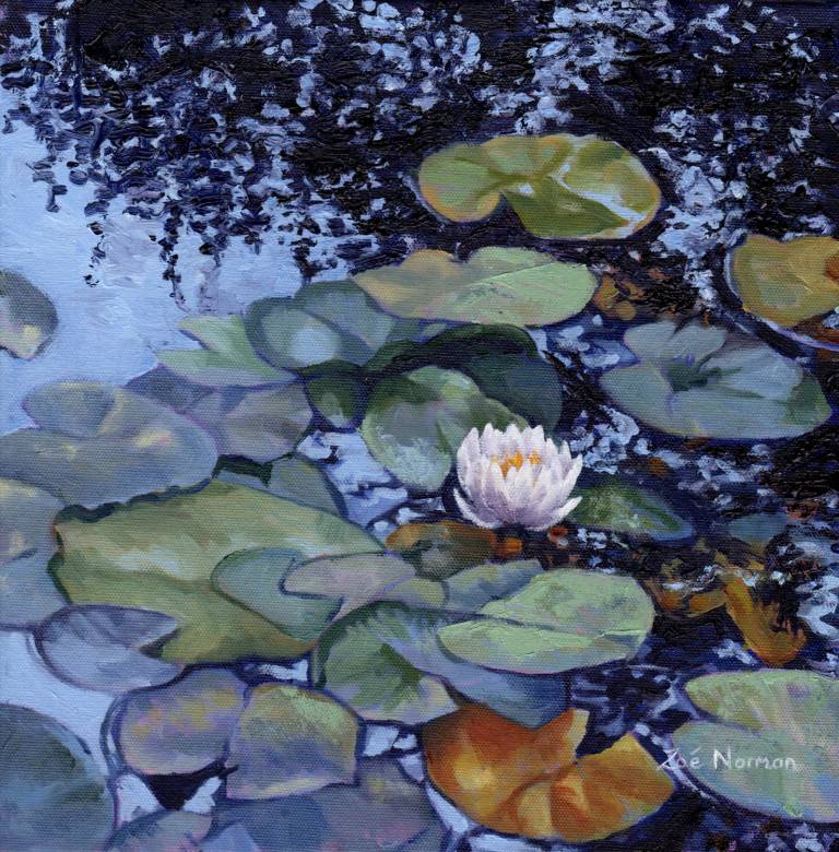 Water Lily at Giverny - Zoe Elizabeth Norman
