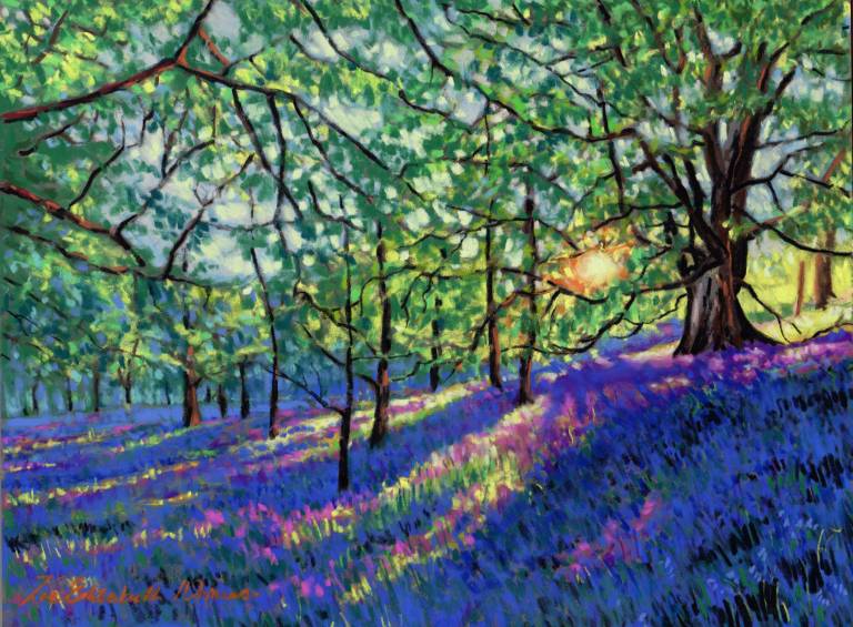 Bluebells - Zoe Elizabeth Norman