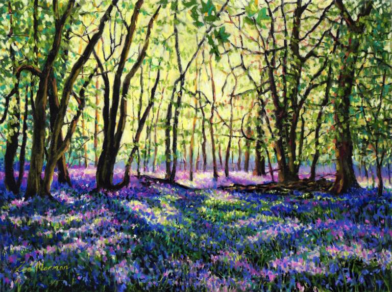 Bluebell Glade - Zoe Elizabeth Norman